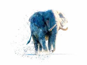 Aws4 request&x amz signedheaders=host&x amz signature=934df4ac170f05efb9b34c418f694ba7c2967e4a5420f4f43a1ae91fec5344af