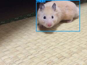 Aws4 request&x amz signedheaders=host&x amz signature=e85107424aefd86d54453b223c850bcb4c69fab0e6e6f89340658ae2da8267a5