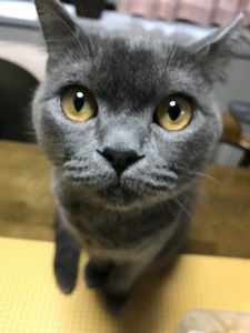 Aws4 request&x amz signedheaders=host&x amz signature=8abf6d0898ab32e3107af43ce1627b08a4ce4821554b5e6fb25df49612b65417