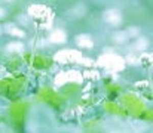 Aws4 request&x amz signedheaders=host&x amz signature=92cda2bb81a263b9c728fa248f9e6e7716655409d8338f07655e319cca8a0200