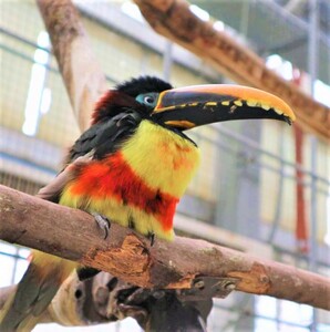 Aws4 request&x amz signedheaders=host&x amz signature=99e7b73edb5cc85575cc64763d6d1bedbb878441aa9ff86a52410acbb0519cec