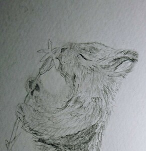 Aws4 request&x amz signedheaders=host&x amz signature=d9cf0058d5cd837255e07313df12489ce477398e53286379d8cb328573acd3fc