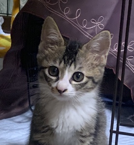 Aws4 request&x amz signedheaders=host&x amz signature=7f4c52b4b484705294307ab2670371c5880f1bcf596bec72e4d95574fabf42fb