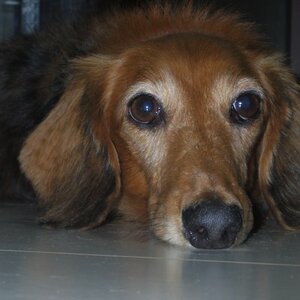 Aws4 request&x amz signedheaders=host&x amz signature=e64514f6faae962c549ef03c307227638a8c0b865c00566004652d3e3cc319b0