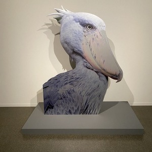 Aws4 request&x amz signedheaders=host&x amz signature=4536618623ef2c47ca959a67636443826755e9ec5ed2ebeaed65cef28ce148e2