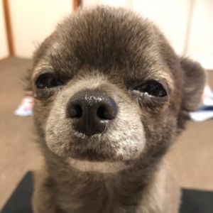 Aws4 request&x amz signedheaders=host&x amz signature=ce243809627ab4386c88e920d696ca2f5aff70c381203fffc5cb4ea07f81e9cc