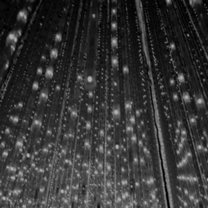 Aws4 request&x amz signedheaders=host&x amz signature=96d6c31fe40543dca070cc134df38e234571ff8bff870d51febe191e03443c00