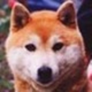 Aws4 request&x amz signedheaders=host&x amz signature=d0de7d609cb018e0cdd28bc33103a761a411e562c2eedcb6220c7f7ca31b849d