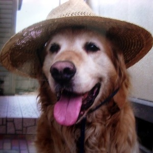 Aws4 request&x amz signedheaders=host&x amz signature=f35be7af2124fb0b1b16afa792e7b4db845871278b5d7b7cf29054aa3caa7166