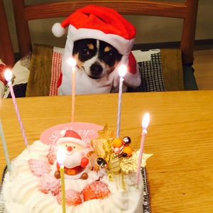 Aws4 request&x amz signedheaders=host&x amz signature=2a1579b89d8ffbf9cd4071f905cdb74fd18ea6b7dab29e56bba20388600ecdf8