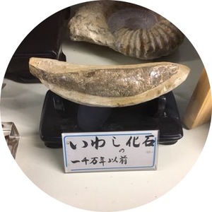 Aws4 request&x amz signedheaders=host&x amz signature=7aa6c14edf5e1f48930a97c57fe179a03c6841cd3f92bc4c295ef611f50ab1a2