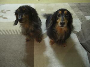 Aws4 request&x amz signedheaders=host&x amz signature=8c71b150892ed2fc075c32f0494e4ec39b781c670df61a9edc519bec7540b820