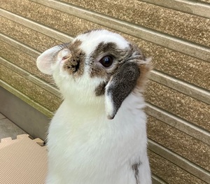 Aws4 request&x amz signedheaders=host&x amz signature=4301ffd06786f654047c5e8f3b3c7e668d586b3095f694e00383f32efe89c6ec