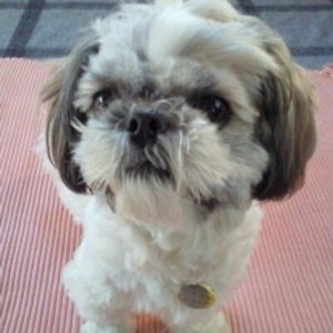 Aws4 request&x amz signedheaders=host&x amz signature=5fedca86278b477d301449ef59880f89133c59503d9cad896d583e6960f64f04