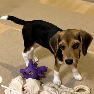 Aws4 request&x amz signedheaders=host&x amz signature=3f2ae2c6fe415bc94d904457e3e842b744cc2736d33baf541dc20916545ae56a