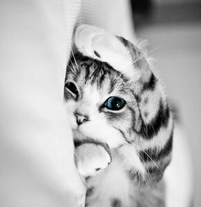 Aws4 request&x amz signedheaders=host&x amz signature=11168ed627a6472ba289e715ed4e4a57ebbdc8db4f758aff825e23f1350b640f