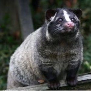 Aws4 request&x amz signedheaders=host&x amz signature=400f262f08e9771037ad10a588d36fe63bb2e68faab9a200155b2e01fdef5842