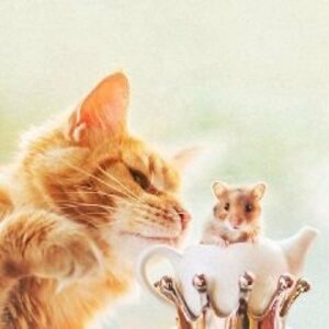 Aws4 request&x amz signedheaders=host&x amz signature=06598252041bc89510580d9eecaa67072df06ac2a787f4752d63a36c171aaf0f