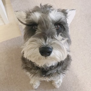 Aws4 request&x amz signedheaders=host&x amz signature=578701f29ce584d1d70846cada7dff1a44bba1323ef2045cd7f5c40af5163988