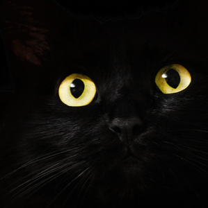 Aws4 request&x amz signedheaders=host&x amz signature=f40a5b4467070accd4dcaf91c9852c735a7ac4ce6f84545feef1fe64775cbb15